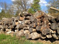 Inserat Brennholz HART zu verkaufen