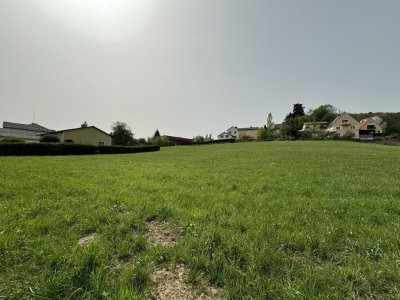 Goldgrube GmbH