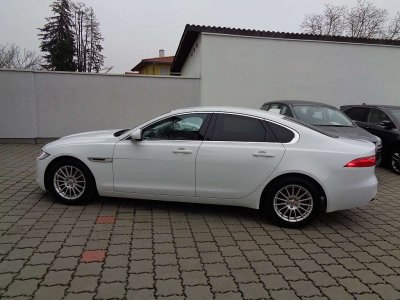 Goldgrube GmbH