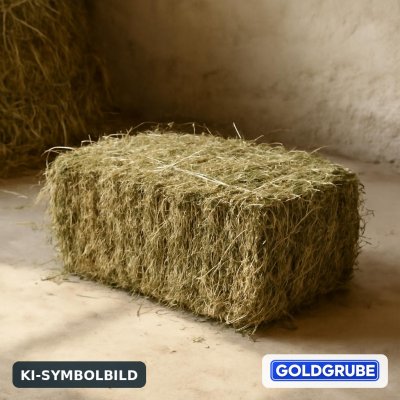 Goldgrube GmbH