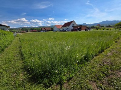Goldgrube GmbH