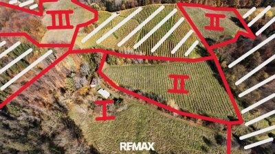 Goldgrube GmbH
