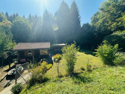 Goldgrube GmbH