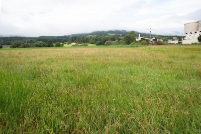 Goldgrube GmbH