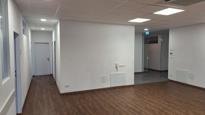 Goldgrube GmbH
