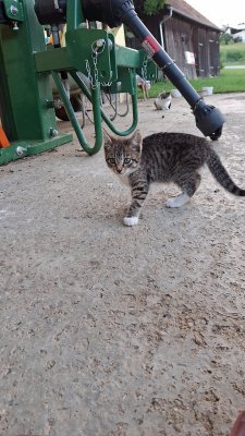 Goldgrube GmbH