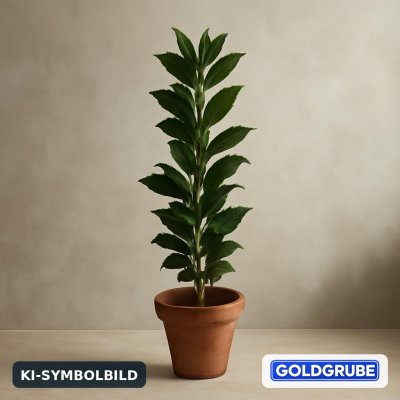 Goldgrube GmbH