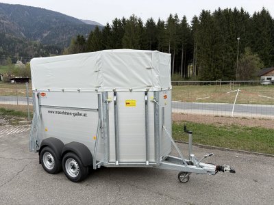 Goldgrube GmbH