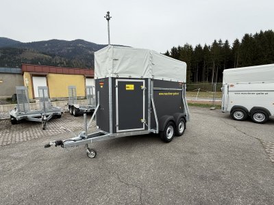 Goldgrube GmbH