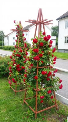 Goldgrube GmbH