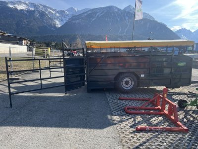 Goldgrube GmbH
