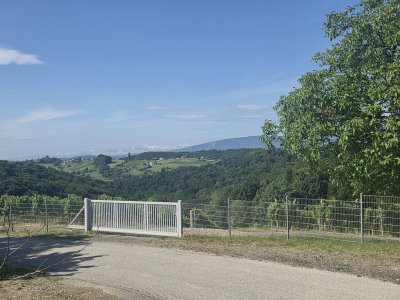 Goldgrube GmbH