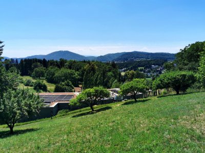 Goldgrube GmbH