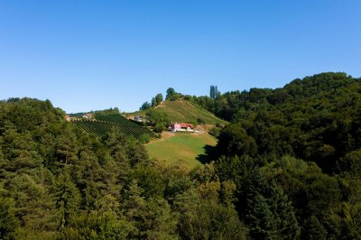 Goldgrube GmbH