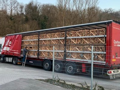 Goldgrube GmbH