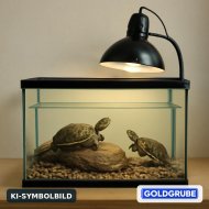 Goldgrube GmbH