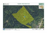 Goldgrube GmbH