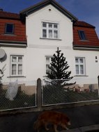 Goldgrube GmbH