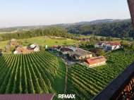 Goldgrube GmbH