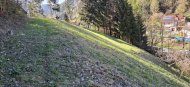 Goldgrube GmbH