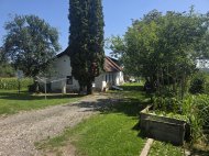 Goldgrube GmbH