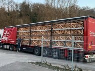 Goldgrube GmbH