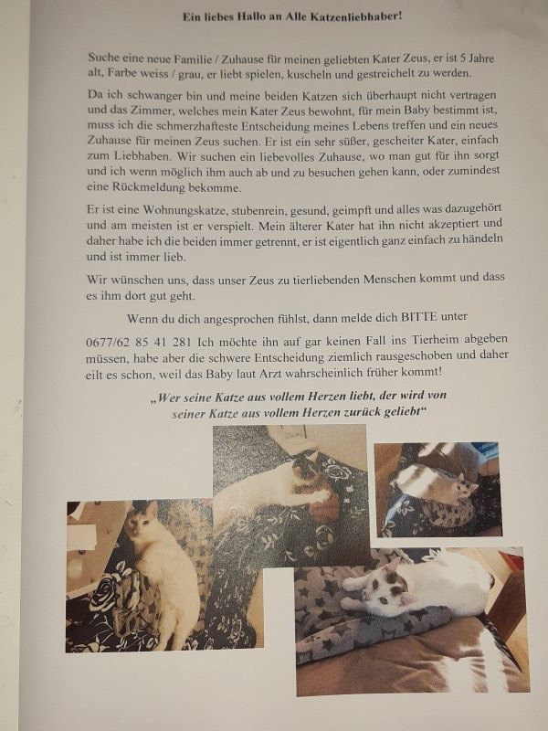 Er sucht sie goldgrube