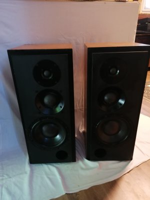 Inserat ATC SCM 50 gebrauchte Studiomonitore