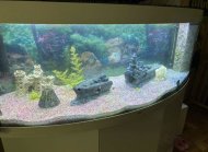 Inserat Aquarium Juwel Vision 450