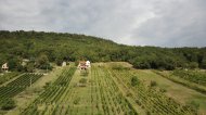 Inserat Anwesen mit Weinberg - Preissenkung