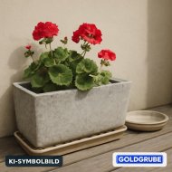 Inserat Eternit Blumenkasten mit