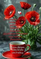 Inserat Reife Lady gegen TG  in Graz gesucht 