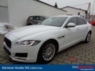 Inserat Jaguar XF; BJ: 1/2018, 179PS