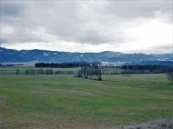 Inserat Baugrund Eigenheim in St. Marein bei Knittelfeld zu kaufen - 1679/1352