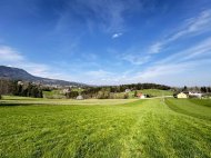 Inserat Baugrund Eigenheim in Rinnegg zu kaufen - 1665/7647