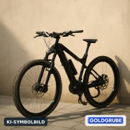 Inserat KTM Cross E-Bike zu verkaufen