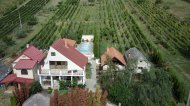 Inserat Haus mit Weinberg - Preissenkung