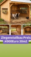 Inserat Tier - Ziegenstallbau:- Zimmerei 