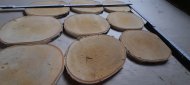 Inserat Birkenscheiben Holzscheiben 