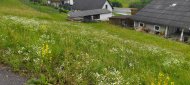 Inserat Baugrund Eigenheim in St. Stefan im Rosental zu kaufen - 1605/5213