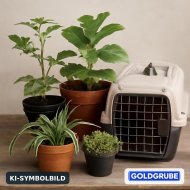 Inserat Suche für mein Haus und Garten