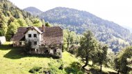 Inserat DIEX - JOHANNSERBERG: IDYLLISCHE LANDWIRTSCHAFT INMITTEN DER NATUR ZUM REVITALISIEREN IN ALLEINLAGE