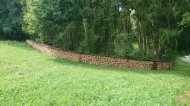 Inserat Brennholz