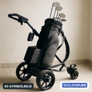 Inserat Golftroey Elektro
