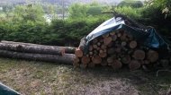 Inserat Brennholz