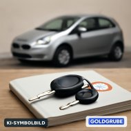 Inserat Fiat Punto; BJ: 2011