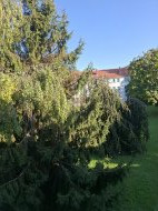 Inserat Frau in Wien die mich besucht. 