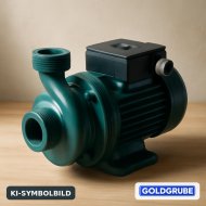 Inserat Grundfos Wasserpumpe zu verkaufen