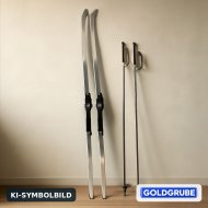 Inserat Langlaufski Fischer