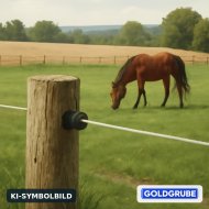Inserat Pferdeweide 2ha Ackerland in
